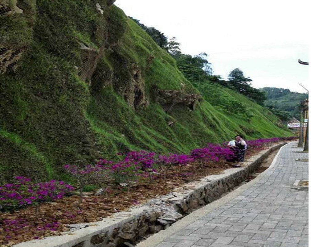 Different kinds of slope greening