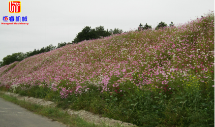 Xi'an Botanical Garden has made new breakthroughs in slope protection