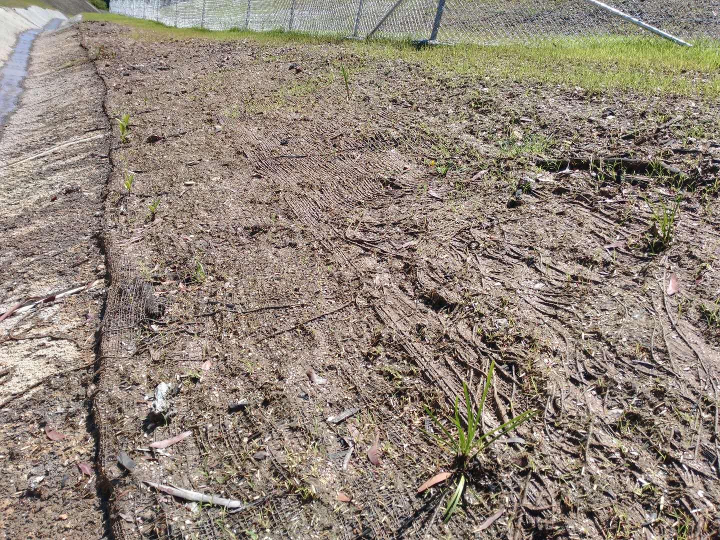  Selection of grass species