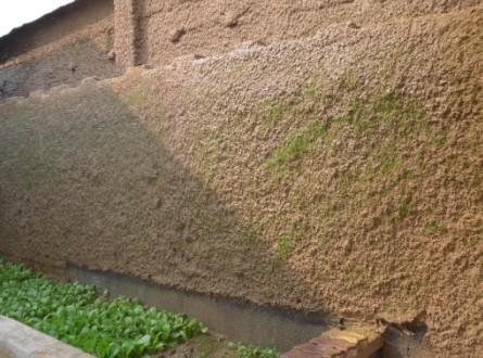  Broad application of sprayed planting and planting technology