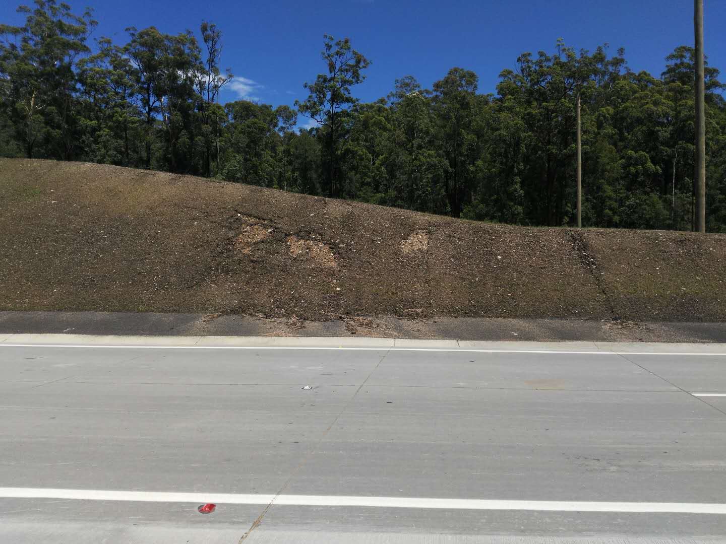 Expressway Greening