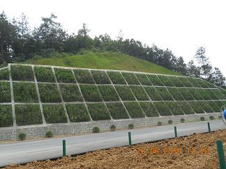 Construction technology of spray seeding