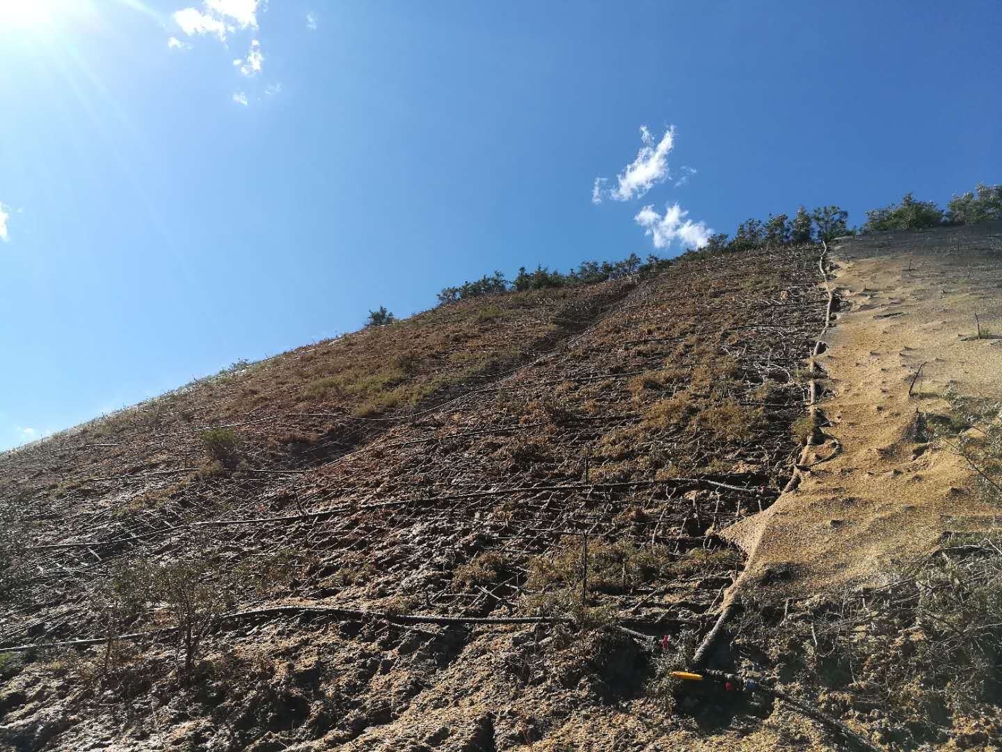 The significance and basic principles of slope greening