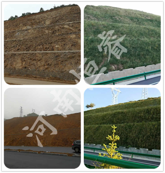 Features of hydroseeding technology